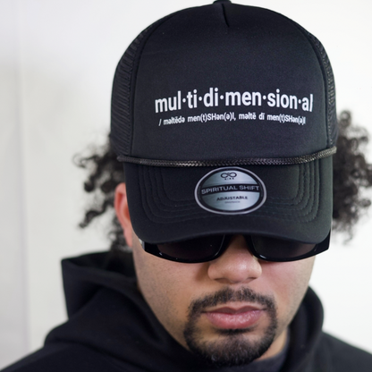 MULTIDIMENSIONAL BLACK MESH TRUCKER HAT